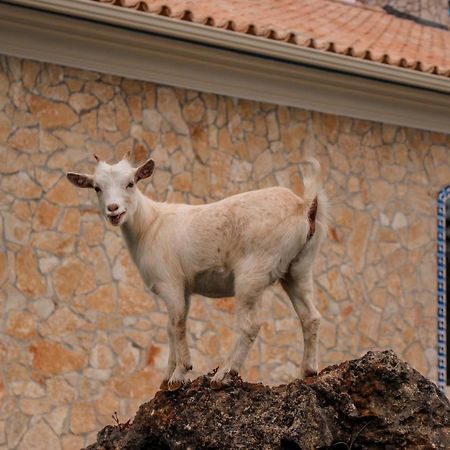 Quinta Do Bamby Villa Leiria Eksteriør bilde