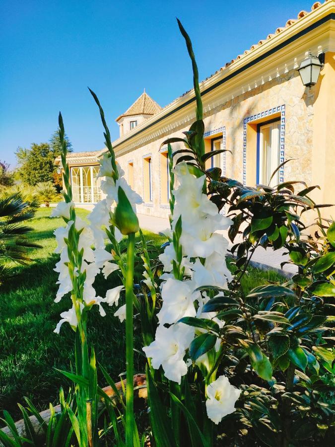 Quinta Do Bamby Villa Leiria Eksteriør bilde